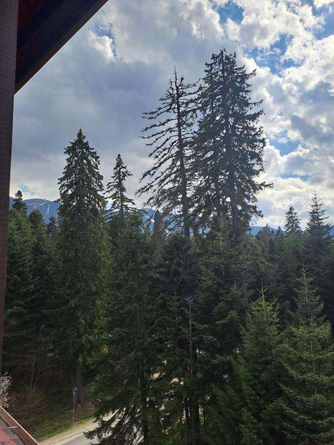 Premium Apartment In Borovets Gardens Complex Екстер'єр фото