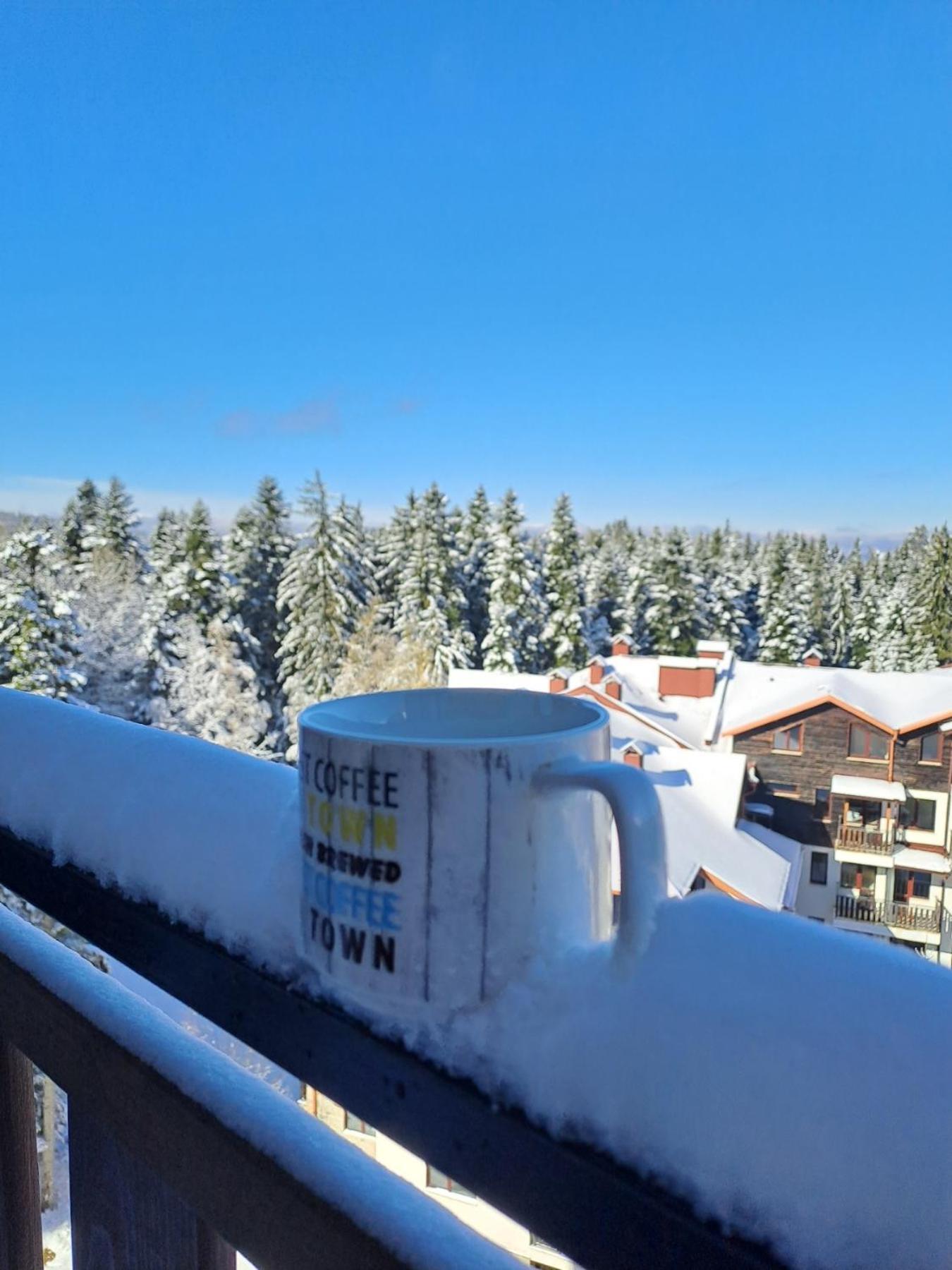 Premium Apartment In Borovets Gardens Complex Екстер'єр фото